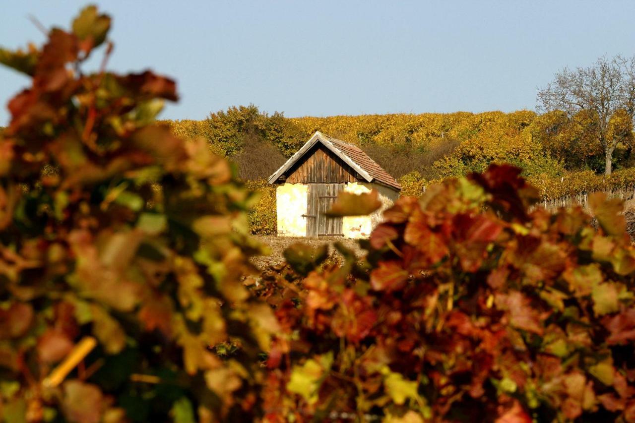 Weingut Breitenfelder Retz Exterior photo