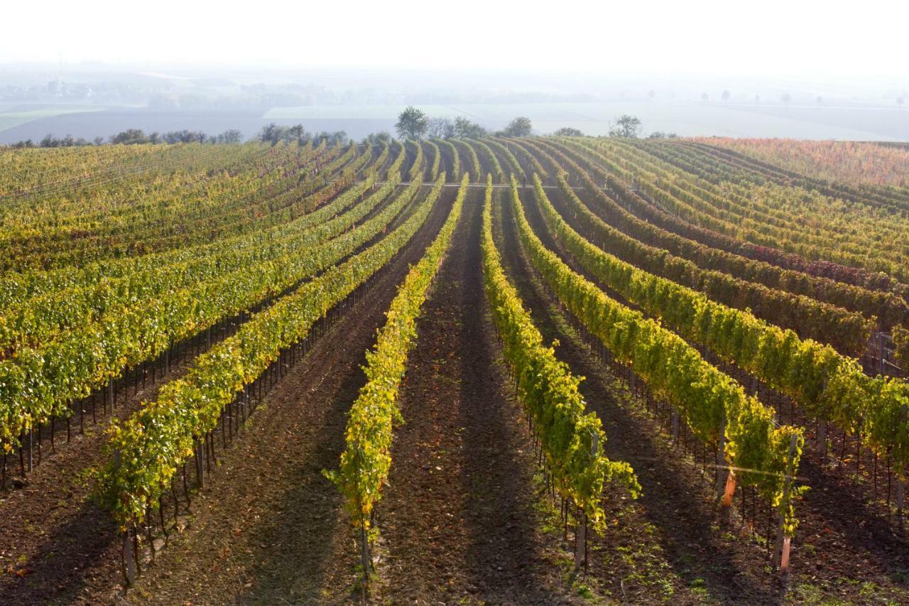 Weingut Breitenfelder Retz Exterior photo
